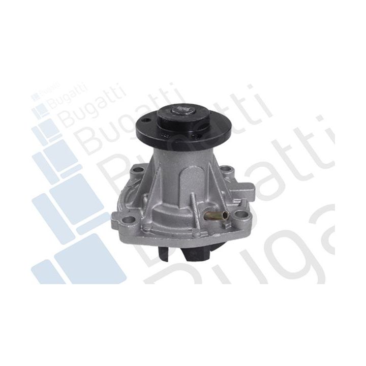 Vandens siurblys, variklio aušinimas BUGATTI PA5014