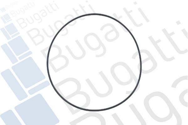 Vandens siurblys, variklio aušinimas BUGATTI PA5014