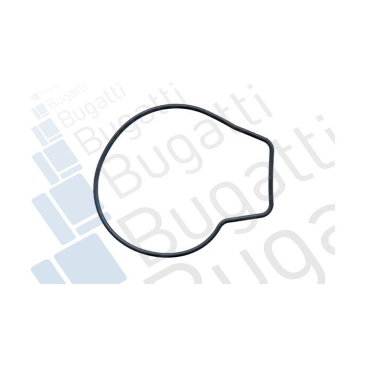 Vandens siurblys, variklio aušinimas BUGATTI PA5201