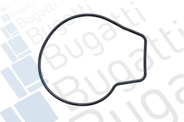 Vandens siurblys, variklio aušinimas BUGATTI PA5201