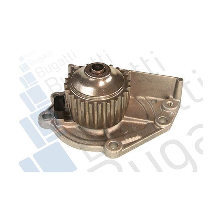 Vandens siurblys, variklio aušinimas BUGATTI PA5202