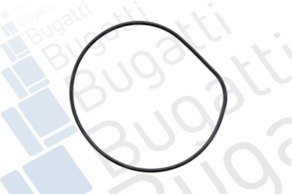 Vandens siurblys, variklio aušinimas BUGATTI PA5202