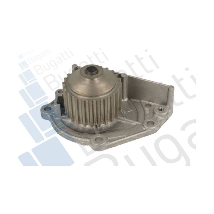 Vandens siurblys, variklio aušinimas BUGATTI PA5203