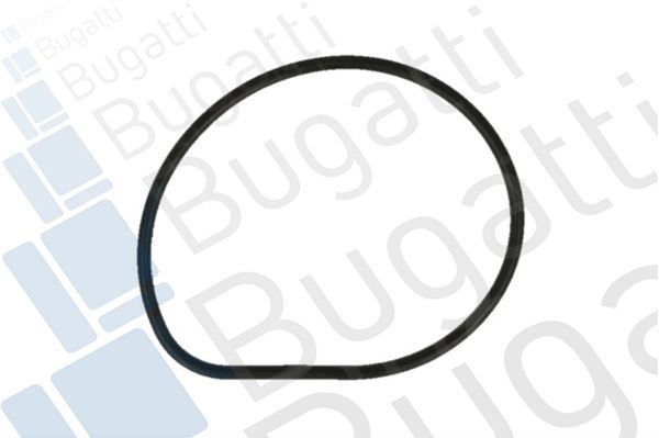 Vandens siurblys, variklio aušinimas BUGATTI PA5203