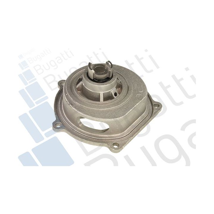 Vandens siurblys, variklio aušinimas BUGATTI PA5204