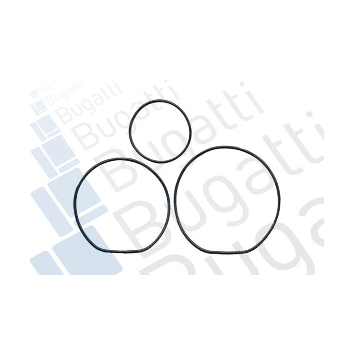 Vandens siurblys, variklio aušinimas BUGATTI PA5204