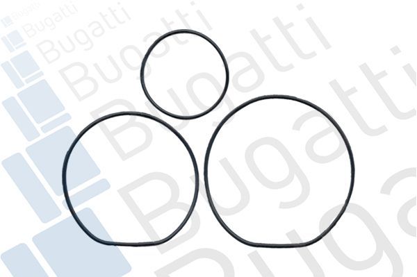 Vandens siurblys, variklio aušinimas BUGATTI PA5204