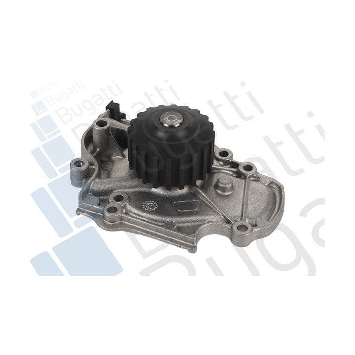 Vandens siurblys, variklio aušinimas BUGATTI PA5205