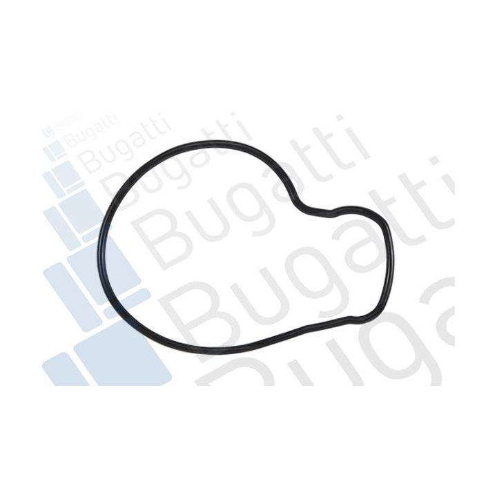 Vandens siurblys, variklio aušinimas BUGATTI PA5205