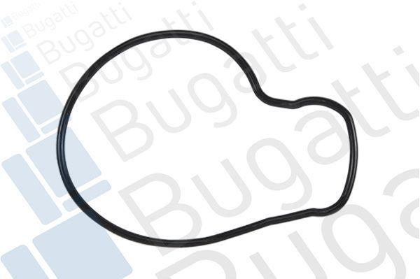 Vandens siurblys, variklio aušinimas BUGATTI PA5205