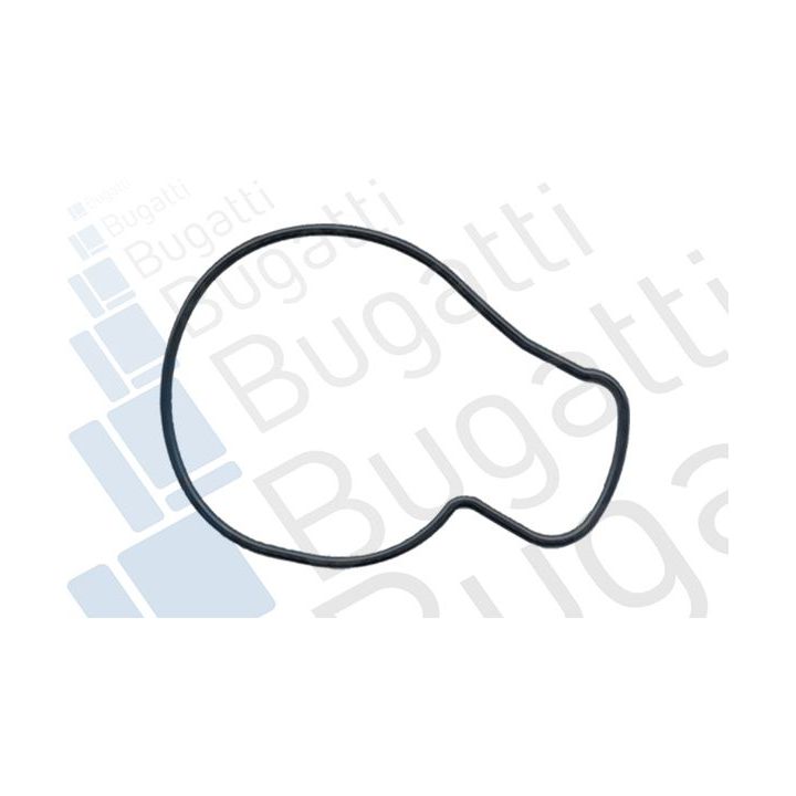 Vandens siurblys, variklio aušinimas BUGATTI PA5206