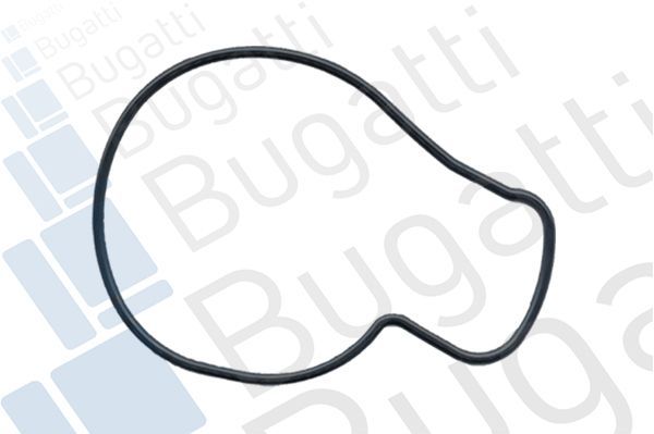 Vandens siurblys, variklio aušinimas BUGATTI PA5206