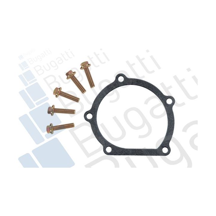 Vandens siurblys, variklio aušinimas BUGATTI PA5207