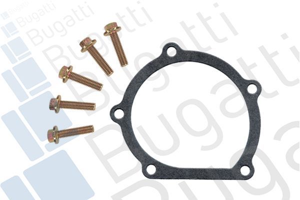 Vandens siurblys, variklio aušinimas BUGATTI PA5207