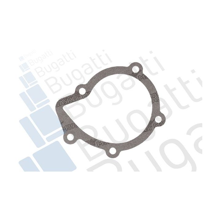 Vandens siurblys, variklio aušinimas BUGATTI PA5501