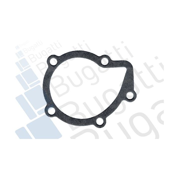 Vandens siurblys, variklio aušinimas BUGATTI PA5506