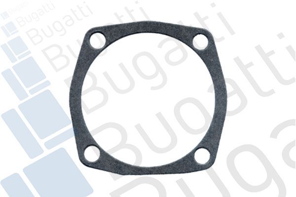 Vandens siurblys, variklio aušinimas BUGATTI PA5906