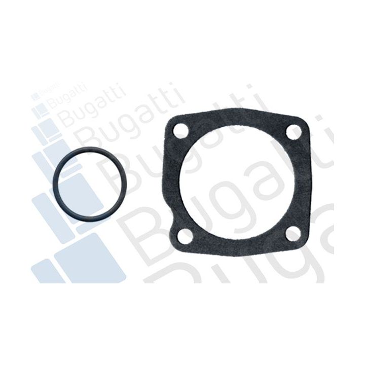 Vandens siurblys, variklio aušinimas BUGATTI PA5910