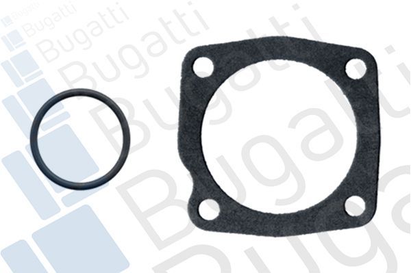 Vandens siurblys, variklio aušinimas BUGATTI PA5910