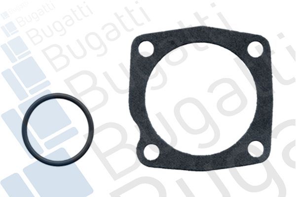 Vandens siurblys, variklio aušinimas BUGATTI PA5915