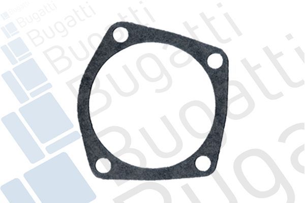 Vandens siurblys, variklio aušinimas BUGATTI PA5916