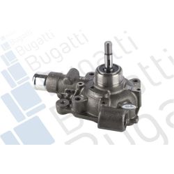 Vandens siurblys, variklio aušinimas BUGATTI PA5920