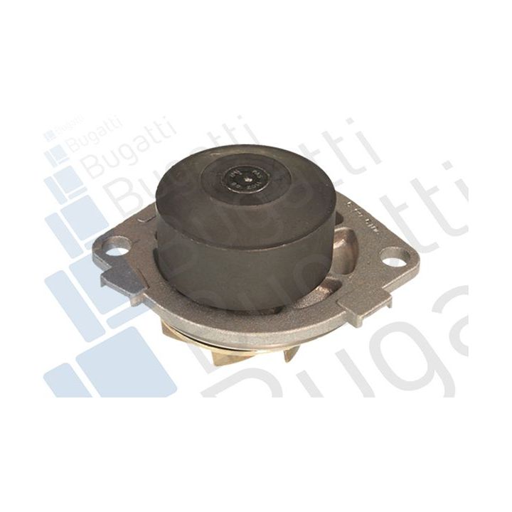 Vandens siurblys, variklio aušinimas BUGATTI PA5923