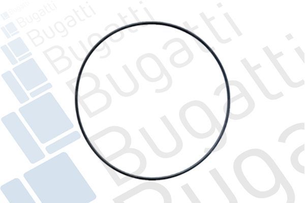 Vandens siurblys, variklio aušinimas BUGATTI PA5923