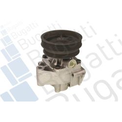 Vandens siurblys, variklio aušinimas BUGATTI PA5924