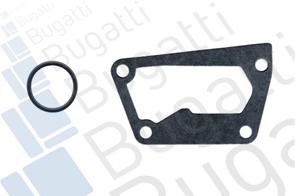 Vandens siurblys, variklio aušinimas BUGATTI PA5924