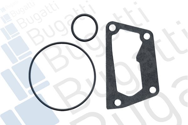 Vandens siurblys, variklio aušinimas BUGATTI PA5925