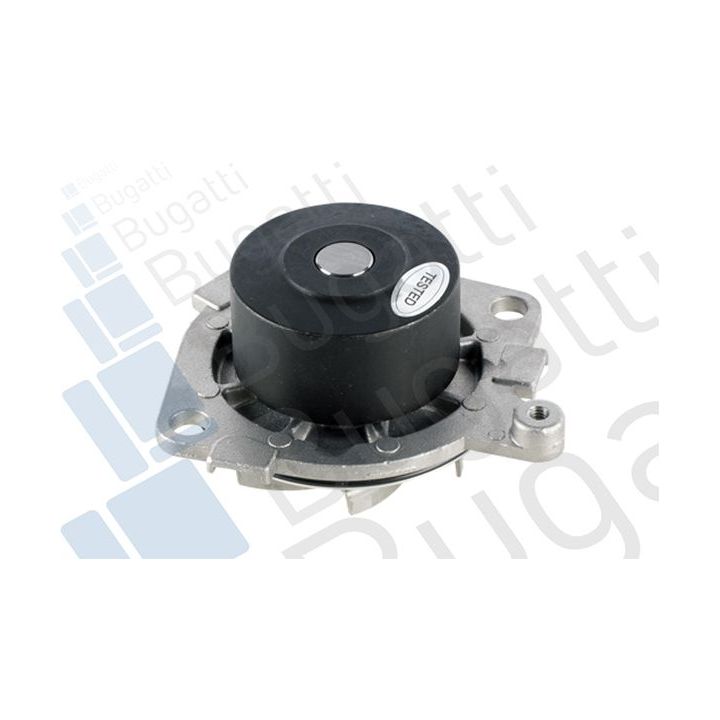 Vandens siurblys, variklio aušinimas BUGATTI PA5926