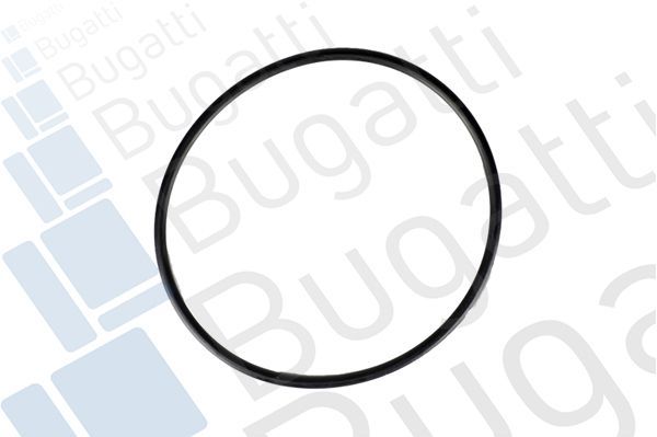 Vandens siurblys, variklio aušinimas BUGATTI PA5928