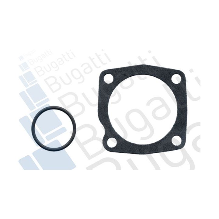 Vandens siurblys, variklio aušinimas BUGATTI PA5931