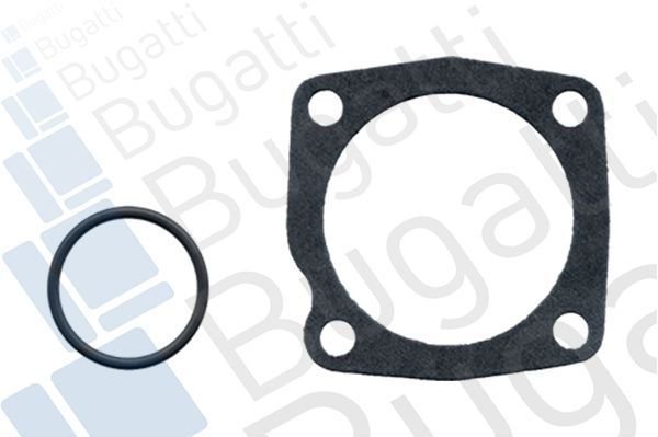 Vandens siurblys, variklio aušinimas BUGATTI PA5931