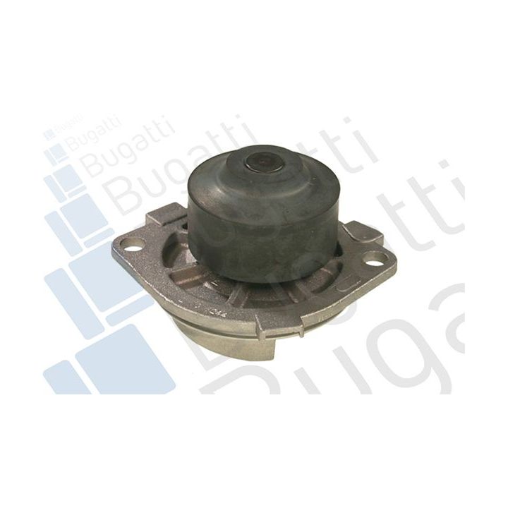 Vandens siurblys, variklio aušinimas BUGATTI PA5935