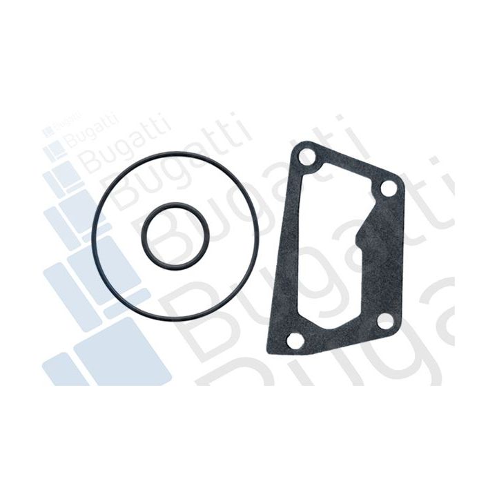 Vandens siurblys, variklio aušinimas BUGATTI PA5938