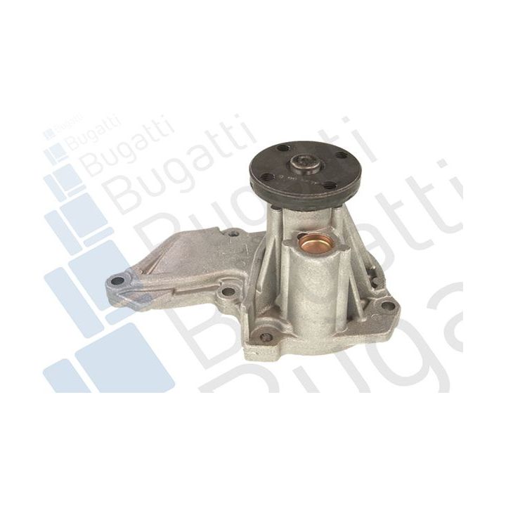 Vandens siurblys, variklio aušinimas BUGATTI PA6010