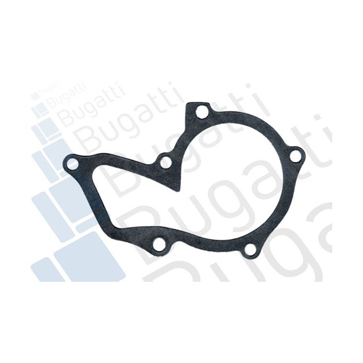 Vandens siurblys, variklio aušinimas BUGATTI PA6010