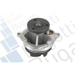 Vandens siurblys, variklio aušinimas BUGATTI PA6013