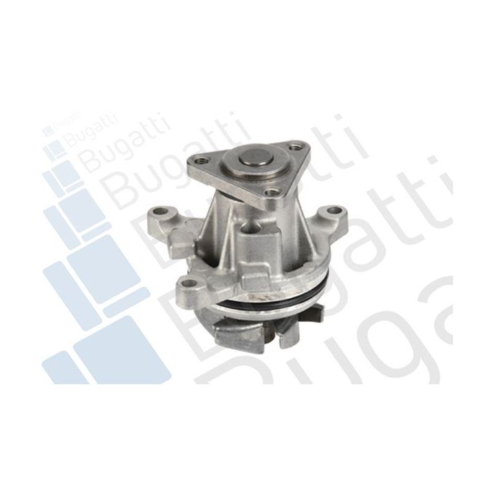 Vandens siurblys, variklio aušinimas BUGATTI PA6015