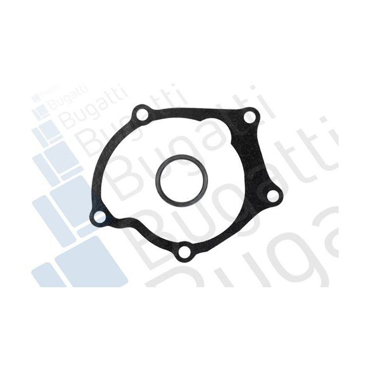 Vandens siurblys, variklio aušinimas BUGATTI PA6903