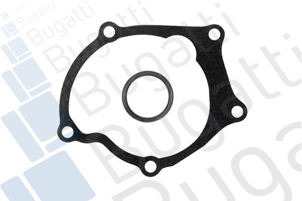 Vandens siurblys, variklio aušinimas BUGATTI PA6903