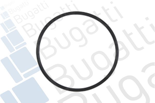 Vandens siurblys, variklio aušinimas BUGATTI PA7209