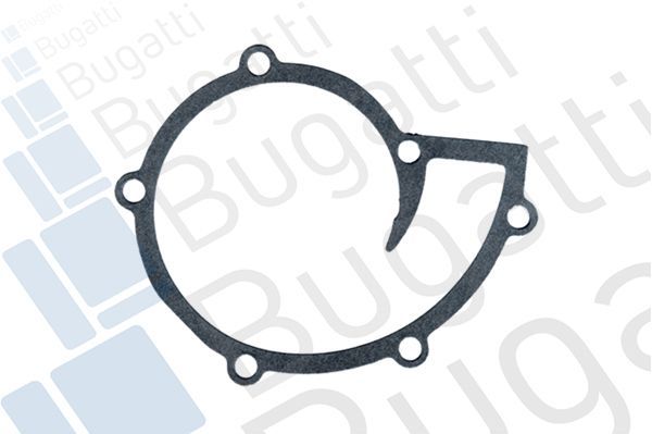 Vandens siurblys, variklio aušinimas BUGATTI PA7405