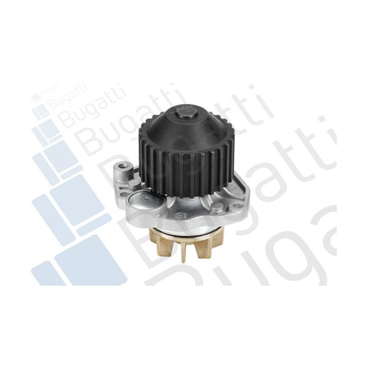 Vandens siurblys, variklio aušinimas BUGATTI PA7410
