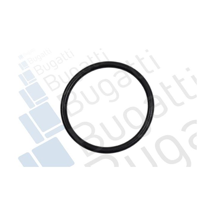 Vandens siurblys, variklio aušinimas BUGATTI PA7410