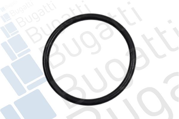 Vandens siurblys, variklio aušinimas BUGATTI PA7410