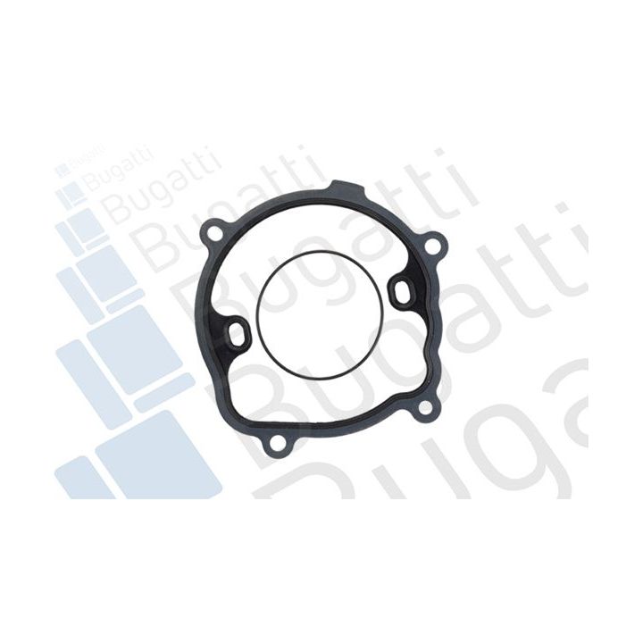 Vandens siurblys, variklio aušinimas BUGATTI PA7724