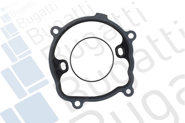 Vandens siurblys, variklio aušinimas BUGATTI PA7724